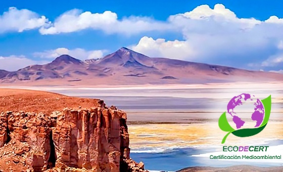 Cumplimiento Ambiental Según Rubro Ajustándose a Criterios de la Organización Cumplimiento Ambiental Según Rubro Ajustándose a Criterios de la Organización